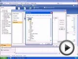 Microsoft Dynamics NAV 2009 Demo - Role Centers Feature (Part 2 of 2)